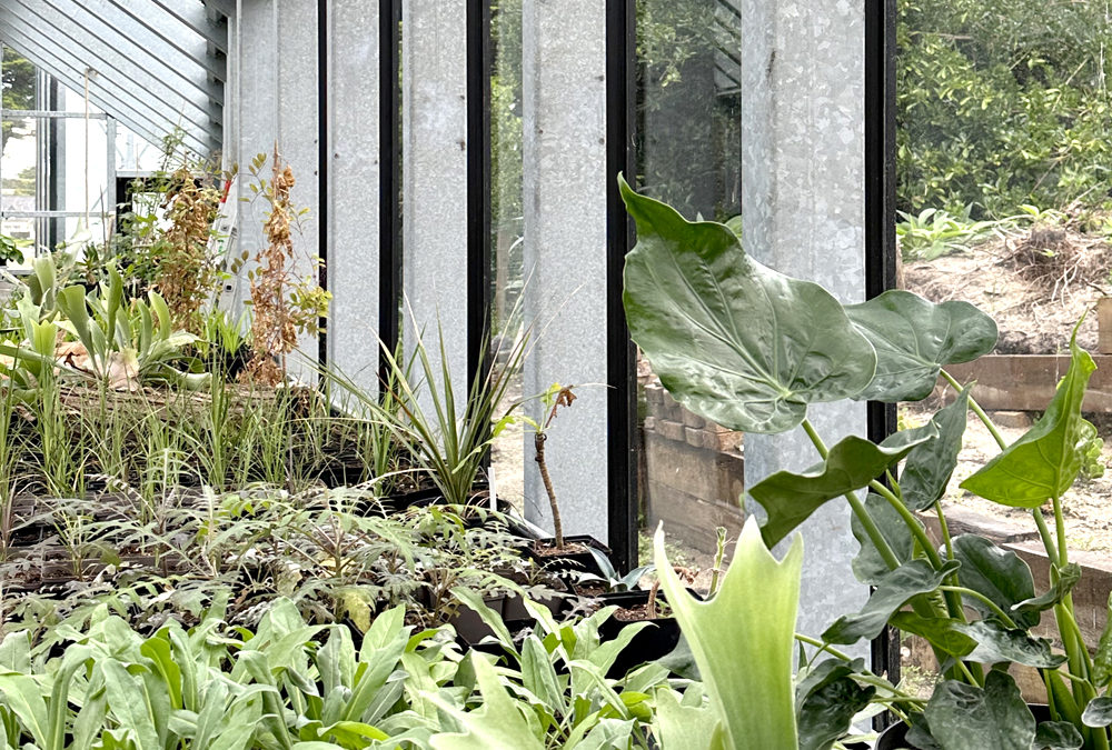 ACCUEIL DU JARDIN DELASELLE, Haut Léon Communauté – Ile de Batz [29] I 2023